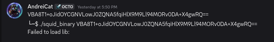 Squid Binary Analysis